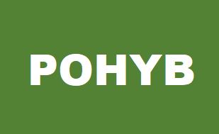 pohyb