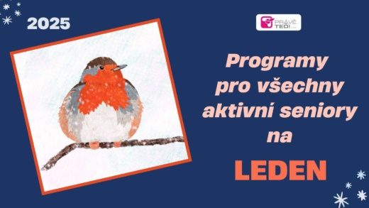 Ilustrační obrázek: lednový program